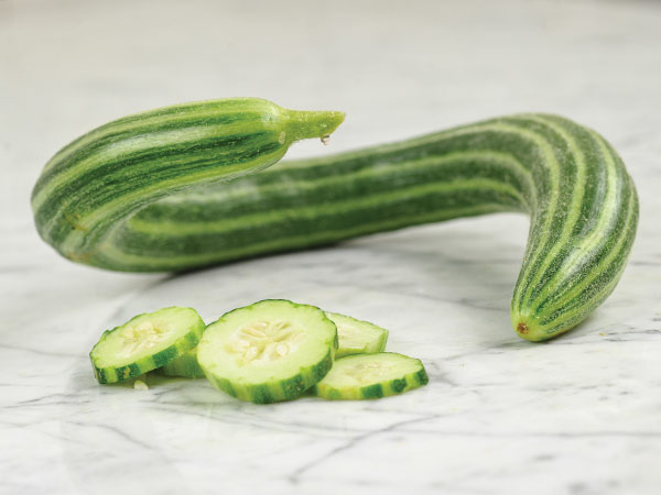 خیار چنبر - معرفی سبزی جات غیر برگی